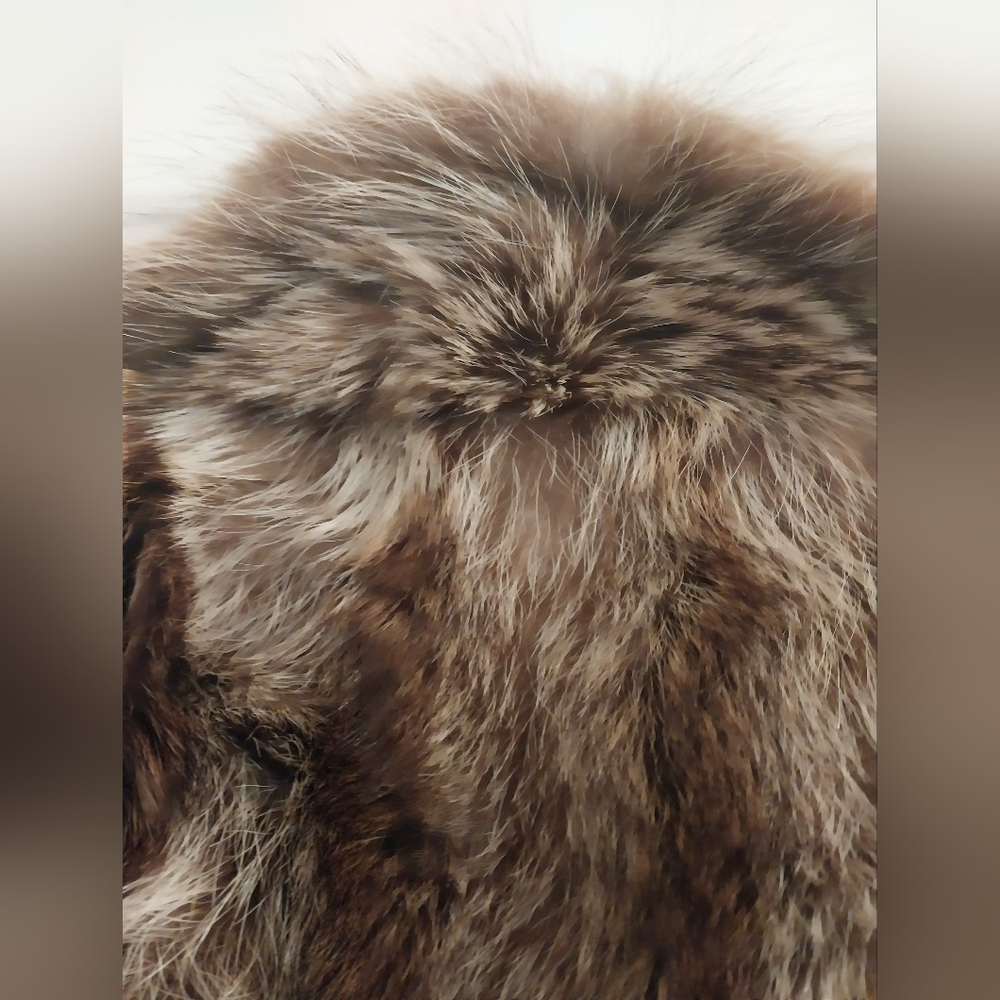 Luxurious fur coat ** READ DESCRIPTION** - Picture 4 of 8